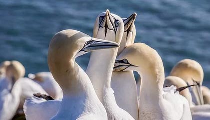 某网红茶室价格虚高，茶品普通
